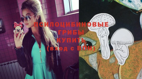 соль ск Балахна
