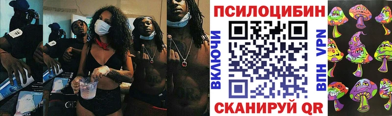 Псилоцибиновые грибы мицелий  купить наркотик  Славянск-на-Кубани 